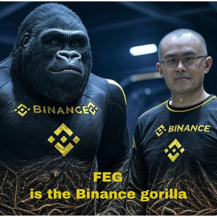 Mostafa4641095's tweet photo. @Mr_m__a @cb_doge #BinanceGorilla https://t.co/RAnlyZ0yYW