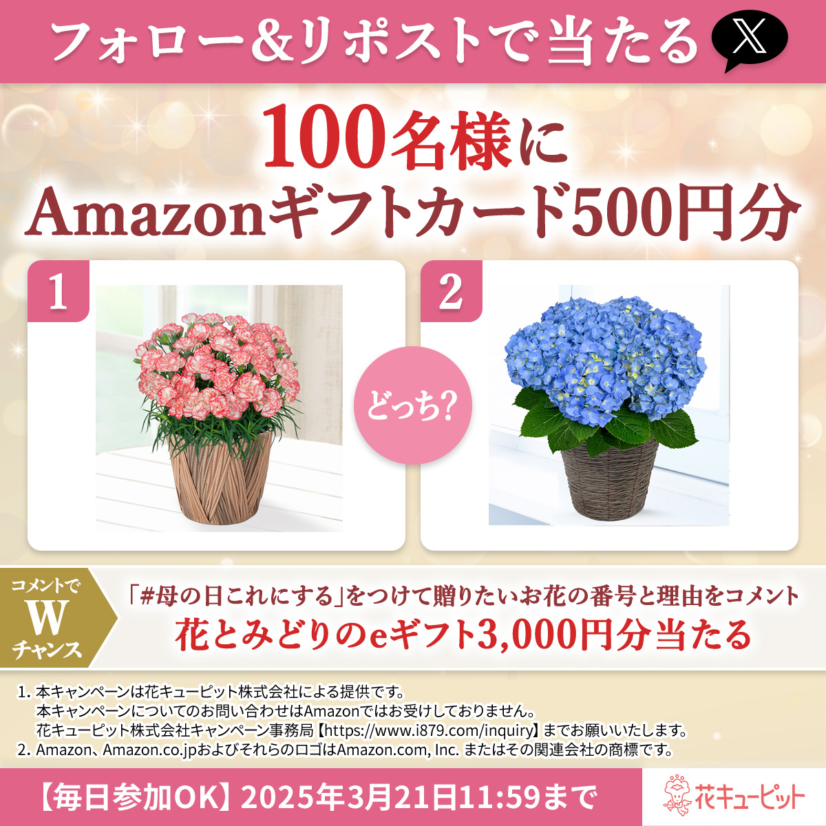 フォロー＆リポストでその場で当たる🌼
100名様にAmazonギフトカード500円分

コメントでWチャンスに参加🎁
1️⃣<a href="/i8791/">花キューピット【公式】</a>をフォロー
2⃣3/16 11:59迄に本投稿をリポスト
当選者に即DM
3️⃣Wチャンス🎁母の日どっち？
花とみどりのeギフト3000円分🌸
【#母の日これにする】と好きな番号をコメント📝