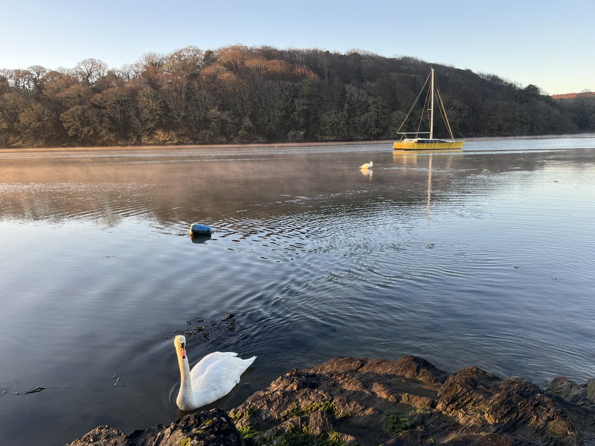 EvocativeCorn's tweet image. Good morning #Cornwall