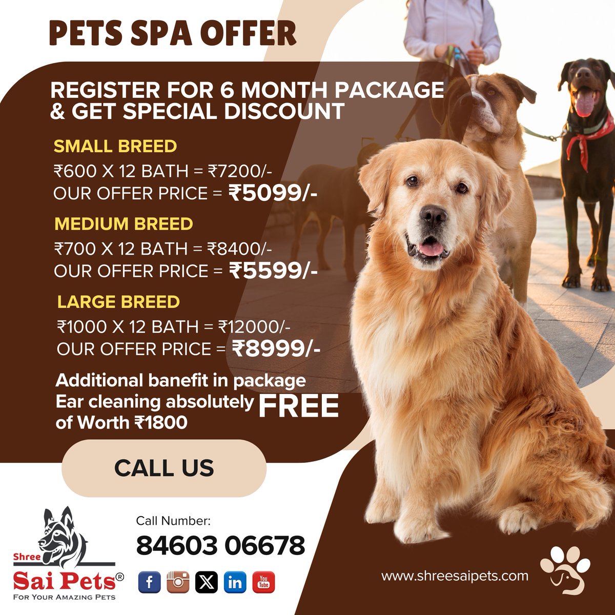 ShreeSaiPets's tweet photo. Pets SPA Offer! 6 Months Packages Availale!
Nikunj | +91 8460 30 6678
Visit https://t.co/QazTICpztm
#PetsSpa #SmallBreed #MediumBreed #LargeBreed #Food #HappyPets #Nutrients #HealthyPets #Petinsurance #Medicine #DryBath #PetShop #PetsStore #Health #petsproduct https://t.co/xMbDRuPZZG