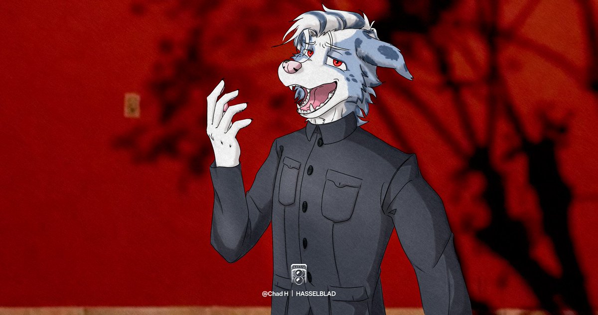 Chad H (@chad___h) on Twitter photo 