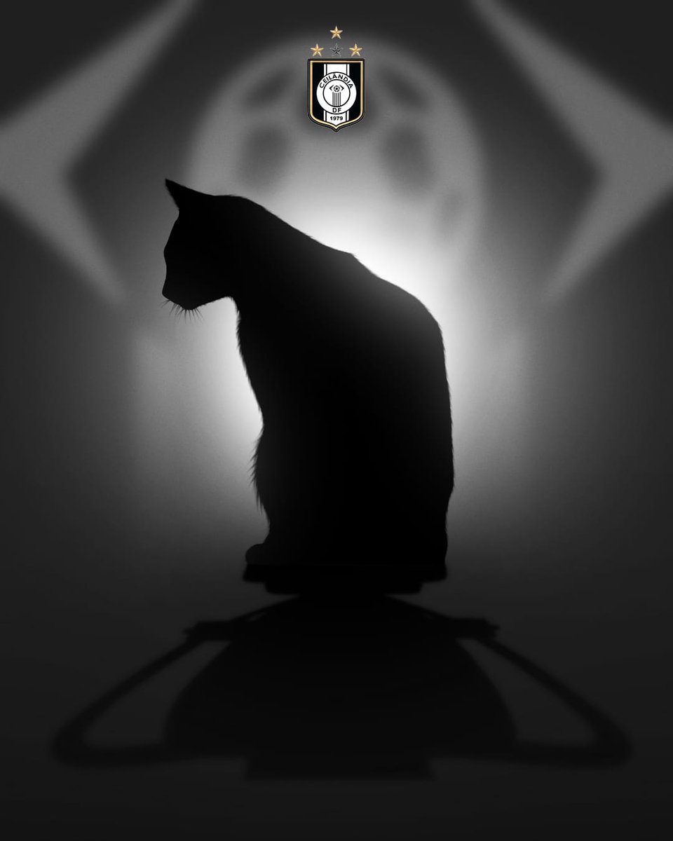 Uma ótima noite só para quem está classificado para a segunda fase da Copa do Brasil 🐈‍⬛🐈‍⬛🐈‍⬛
