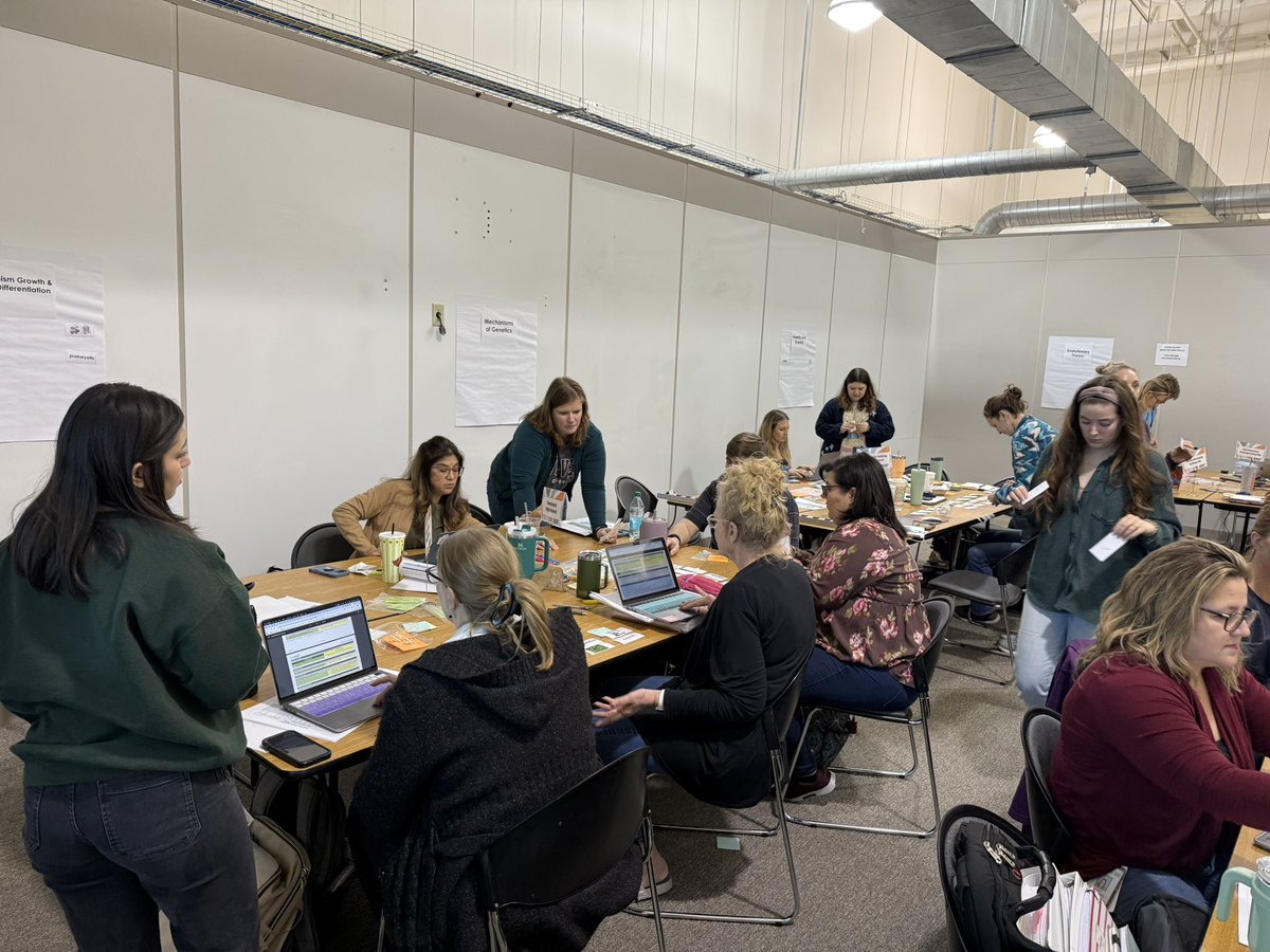 Amber Davisson tweet media