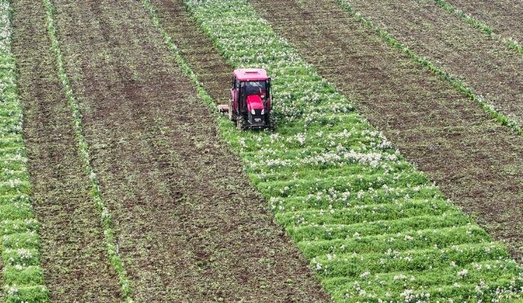 ailuqiao123's tweet image. 🌱 After the start of spring, the Zhenghe Farm in Qingtang Town, Dao County, Yongzhou City, Hunan Province, is bustling with activity! 🚜 
#SpringPlowing #FarmLife #AgriculturalVibes #SeasonOfHope