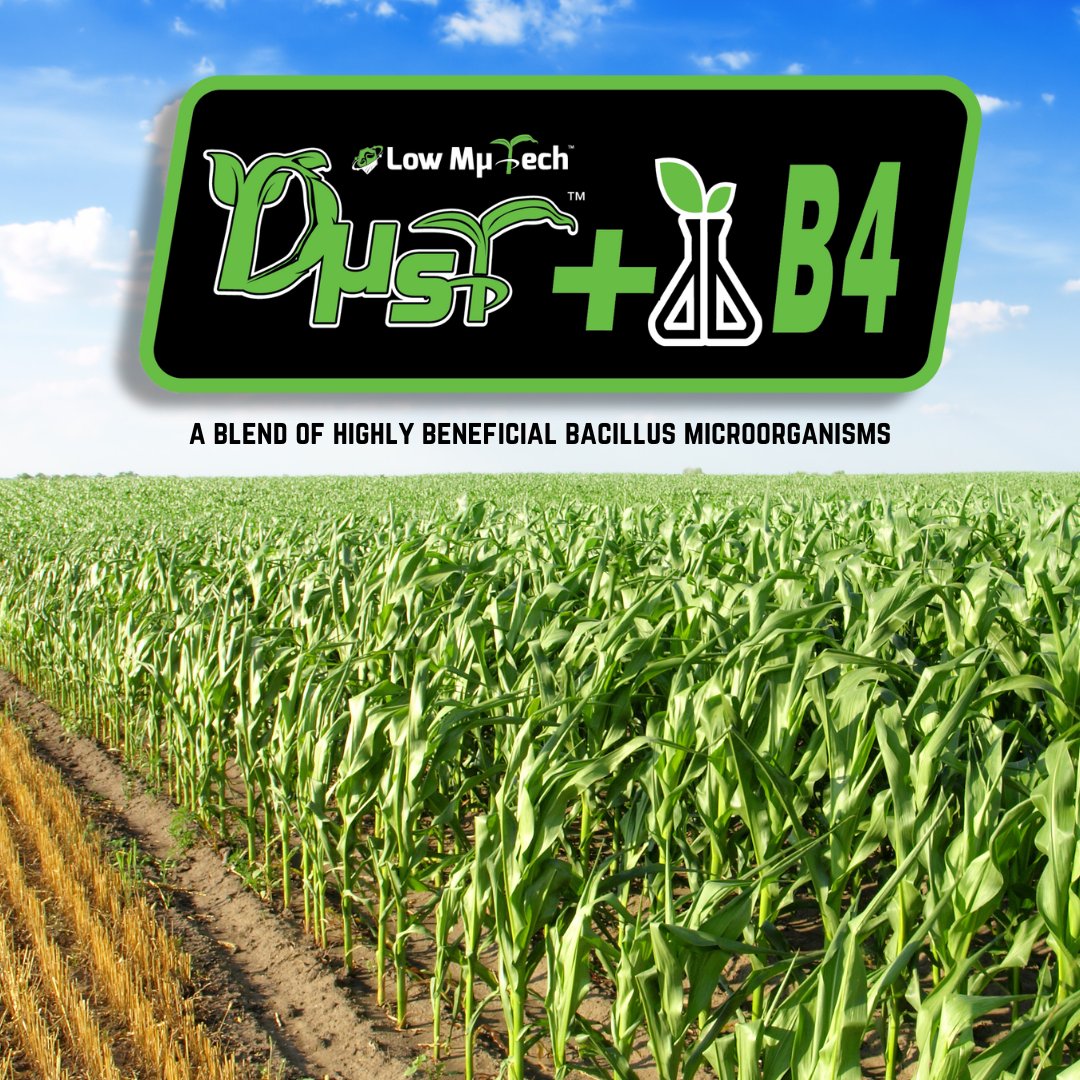 NewFields_Ag's tweet image. DUST+B4 is the ultimate game-changer in agriculture!

Our tech combines DUST™ Inclusion Carrier with powerful bacillus microorganisms, ensuring every seed gets the nutrients it needs. 

#planterbox #biologicalsinag #planting2025