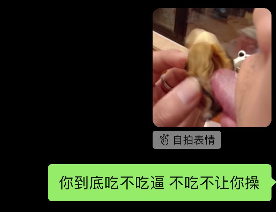 小海龟 tweet media