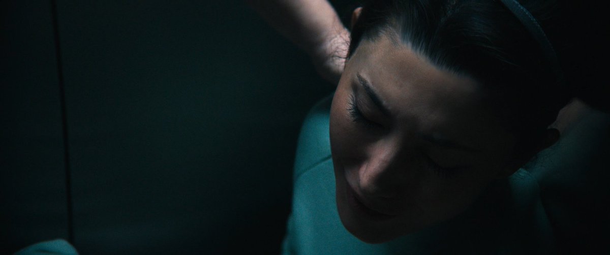 maria 🍁 tweet media