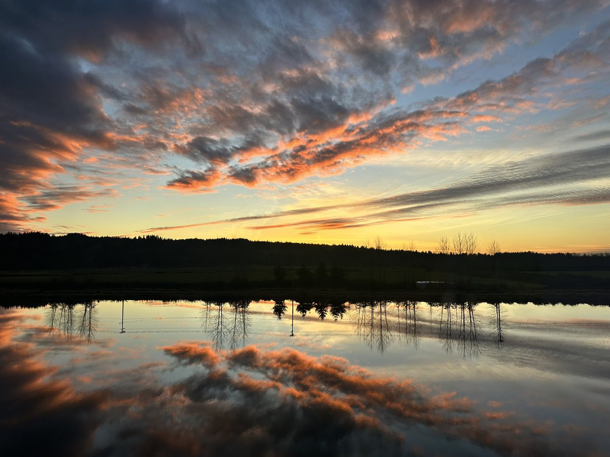 lbc_weather's tweet image. Today’s sunset was a spectacular one - Lake Tye in Monroe. #wawx @ShannonODKOMO