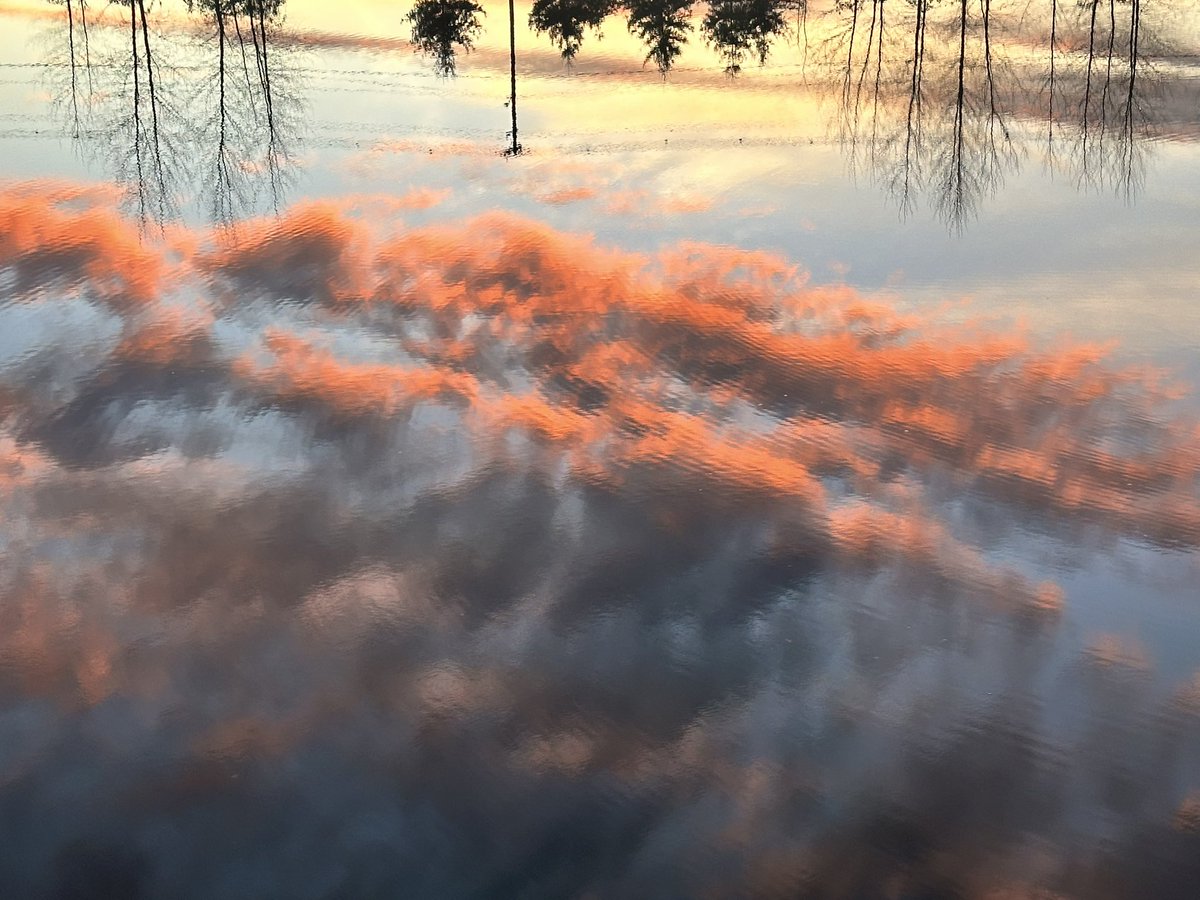 lbc_weather's tweet image. Today’s sunset was a spectacular one - Lake Tye in Monroe. #wawx @ShannonODKOMO