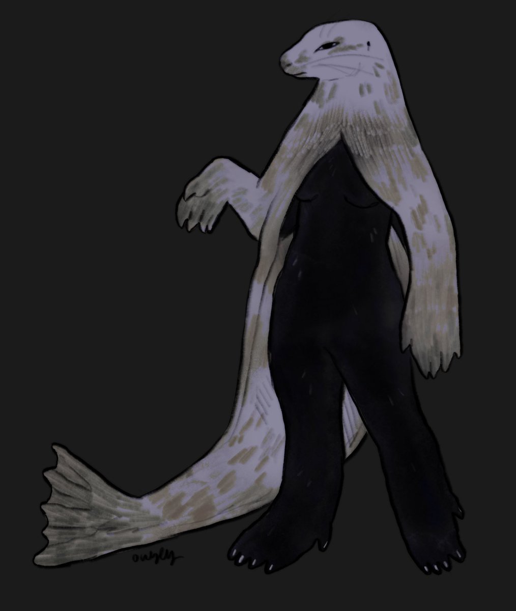 owlylly's tweet photo. selkie creature https://t.co/VHiwSEZaPl