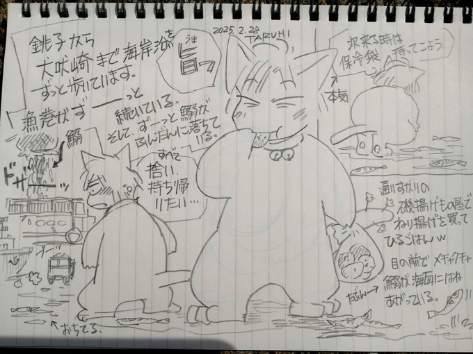 旅スケッチ。銚子からずーっと歩いている。魚の水揚げ初めて見た😆遠くに「マグロが落ちてる‼️」と思って駆けつけたらサメだったwラベルが貼られていたから引き取られて行くのかな。 