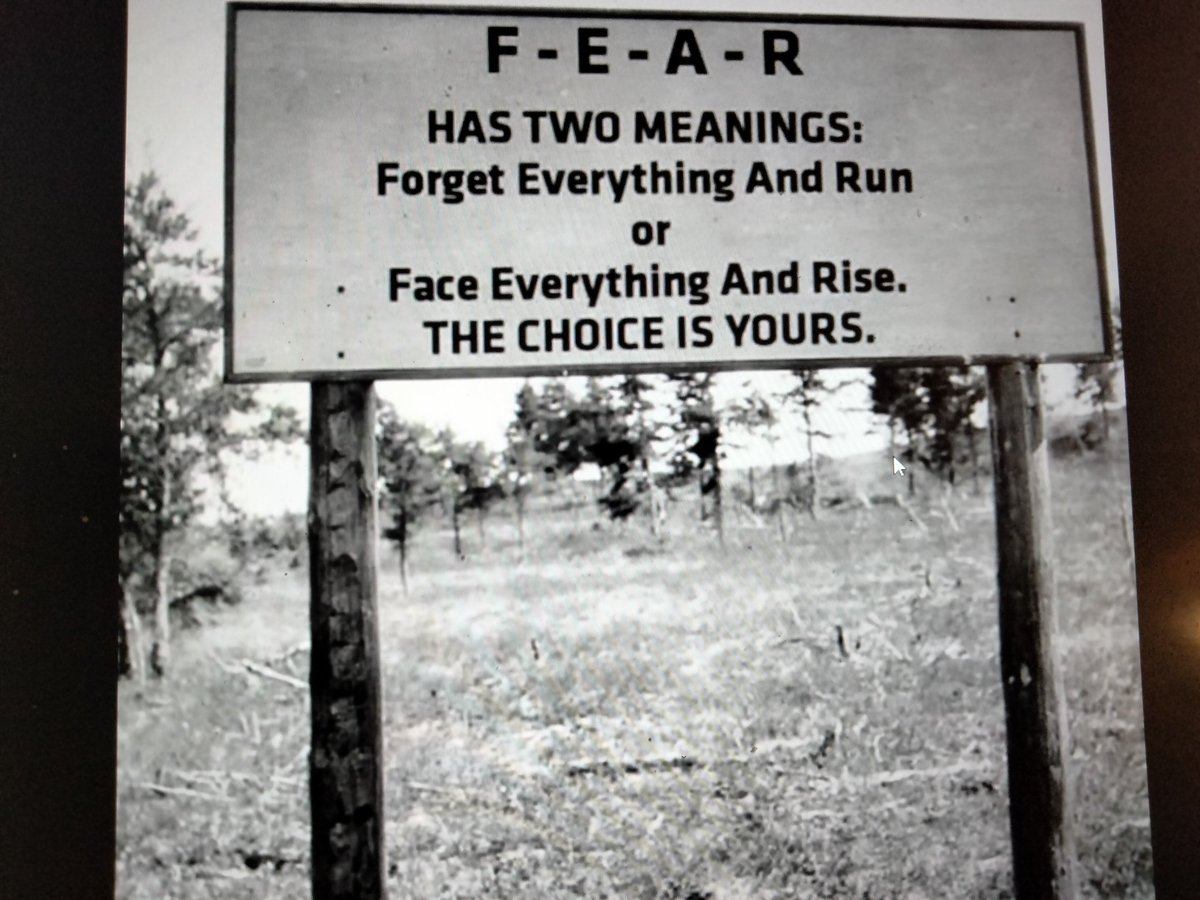 markshepherd tweet media