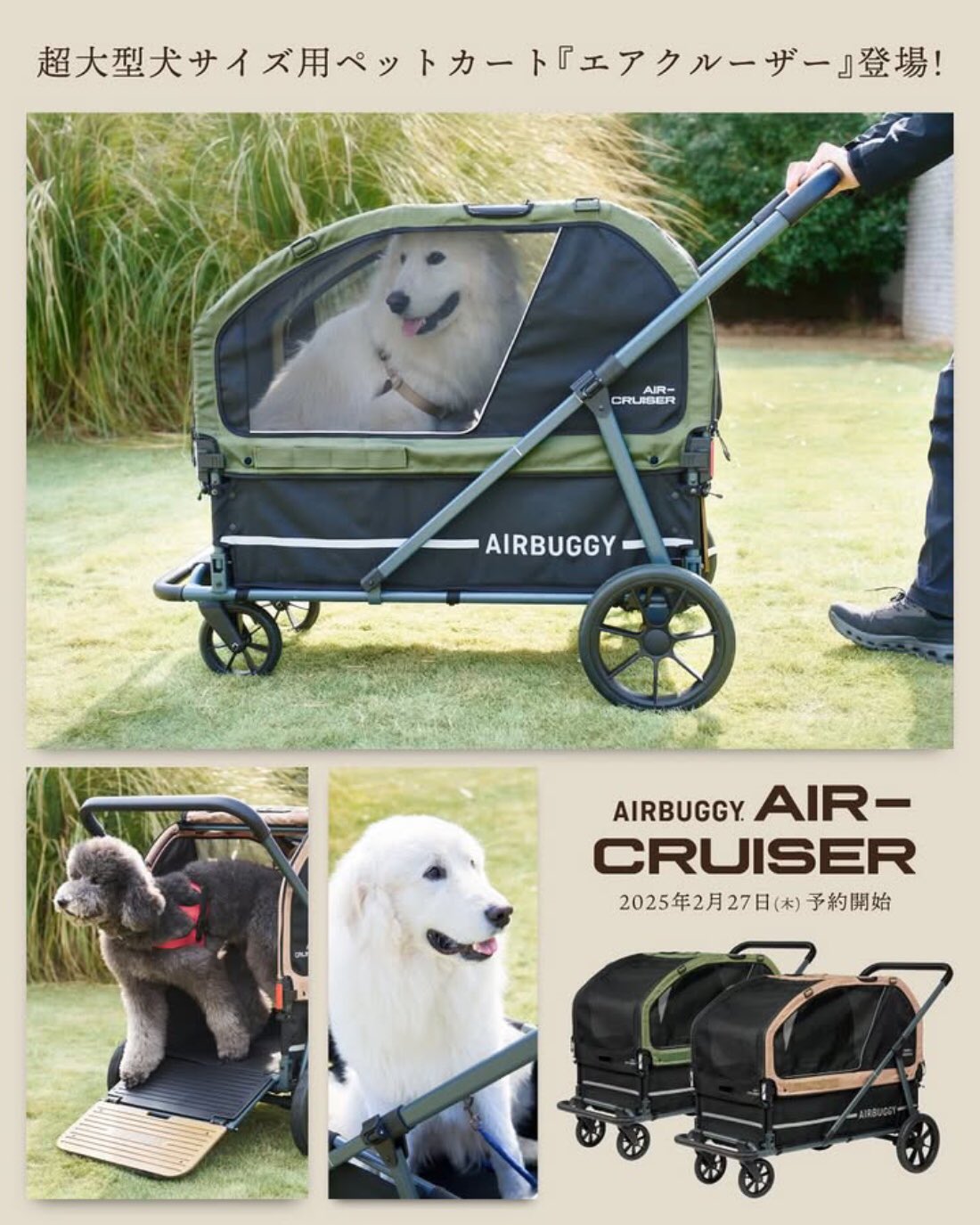 AIRBUGGY/エアバギーforペット (@AirBuggyforDog) / X
