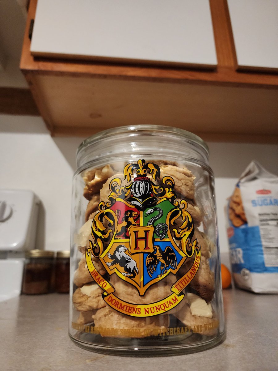 Kynee Rose tweet media