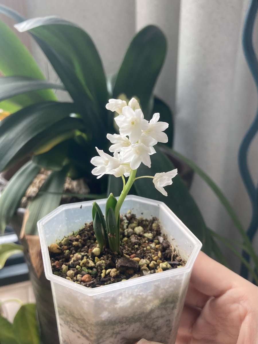 와... 이게 되네.. 얘들 이름이 뭐였더라