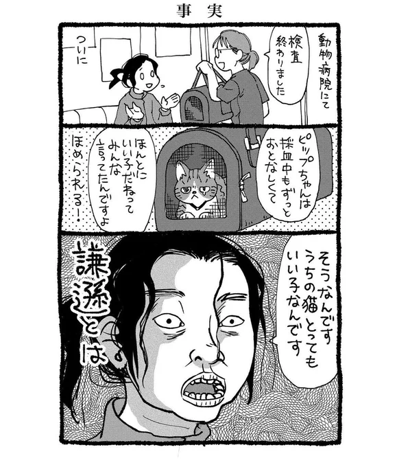 動物病院で先生も看護師さんもピッ子をいい子いい子言うので思わず「私もここに来るたびに『うちの猫、いい子だな』って感心するんですよねぇ…」って吐露しちゃった 