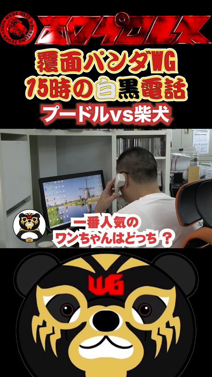 覆面パンダWG15時の白黒電話「プードルvs柴犬」　#121         #西口プロレス youtube.com/shorts/EDm7BK-… <a href="/YouTube/">YouTube</a>より