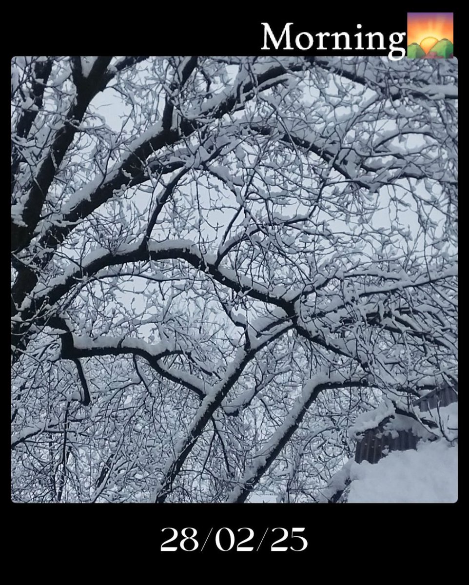 FunTime_Travels's tweet photo. This is how Kashmir looks now...❄️🏔️
#snowfall #kashmir https://t.co/y8AGIs264G