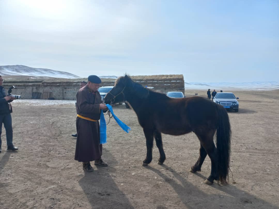 NewZealandMFA's tweet photo. The Minister was delighted to receive a special gift from Mongolia: Stamina 🐎 

In Mongolian culture, horses symbolise freedom, strength and vitality​ - fitting characteristics for both our nations.

🇲🇳 🤝 🇳🇿 https://t.co/8kbHLmb197