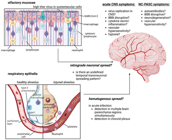 Biomed_MDPI's tweet photo. #MustRead #IndustryTrends #InsightfulRead
Just read an incredible article! 📚
Title: Mechanisms, Effects, and Management of #Neurological Complications of Post-Acute Sequelae of #COVID-19 (NC-PASC) 🍒
Online Link:🎗
https://t.co/IWHXESiS69
@MDPIOpenAccess   @MDPIBiologySubj https://t.co/sGfHttvYBv