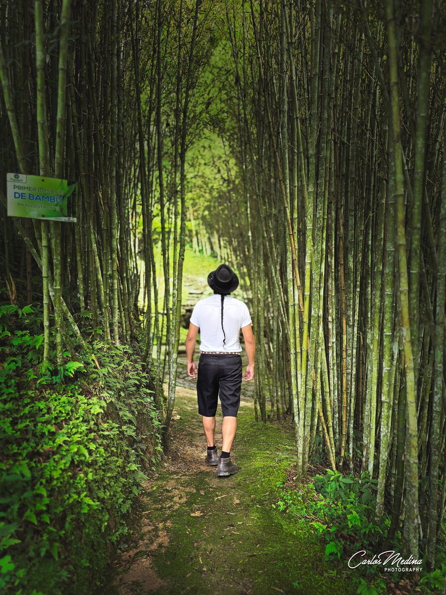 carlosmedinav77's tweet photo. "Visita Zamora y déjate cautivar por su encanto natural."

#Zamora #ZamoraChinchipe #ecuador https://t.co/mRXef9goH3