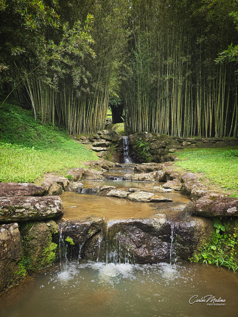 carlosmedinav77's tweet photo. "Visita Zamora y déjate cautivar por su encanto natural."

#Zamora #ZamoraChinchipe #ecuador https://t.co/mRXef9goH3