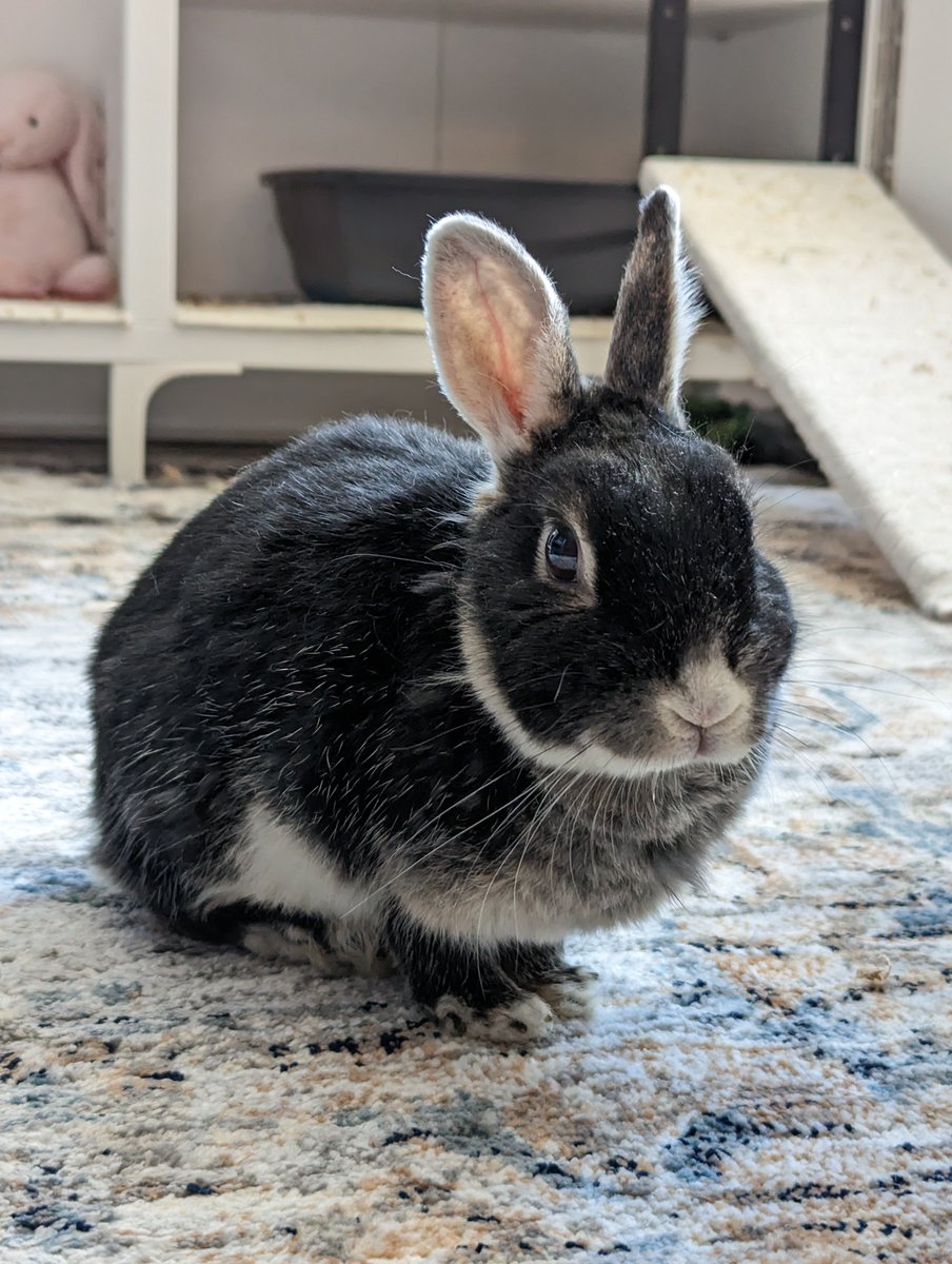 I have some very sad news to share today - youtube.com/channel/UCg3Bi…