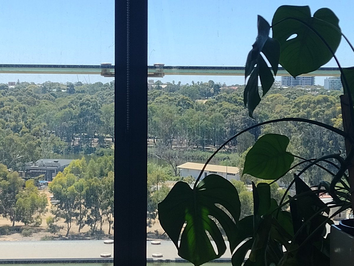 Week one already ending. Loving the new office &amp; the view <a href="/UniofAdelaide/">Uni of Adelaide</a> <a href="/ShereeSmi/">Prof Sheree Smith</a> Thank you for the warm welcome &amp; looking forward to our collaborative weeks ahead <a href="/RoyalAdelHosp/">Royal Adelaide Hospital</a> <a href="/MIHRAfoundation/">MIHRA</a> <a href="/unibirmingham/">Uni of Birmingham</a>