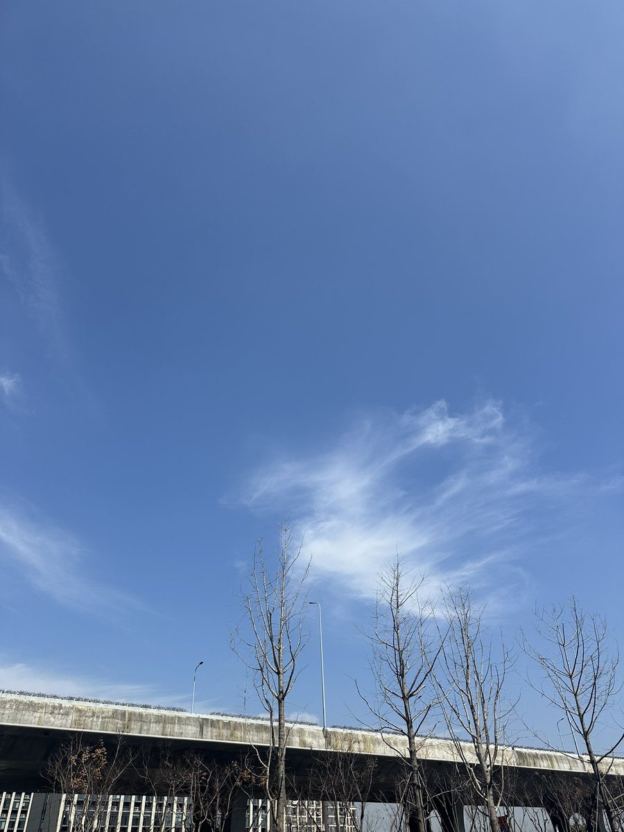 TripleD_TreD's tweet photo. 天气真好，出来透透气！ https://t.co/1bk3v2sz4r