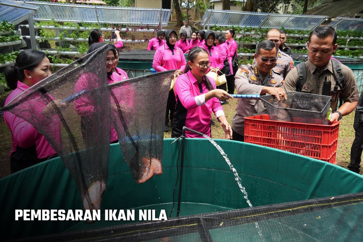PolriSsdm's tweet photo. Bersama, kita wujudkan ketahanan pangan berkelanjutan
Launching Pekarangan Pangan Lestari di Akademi Kepolisian sebagai langkah nyata mendukung kemandirian pangan dan lingkungan hijau. Mari kita terus berkarya untuk masa depan yang lebih baik. 🌱

#PanganLestari
#Akpol
#GoGreen https://t.co/uFjwDiCIEe