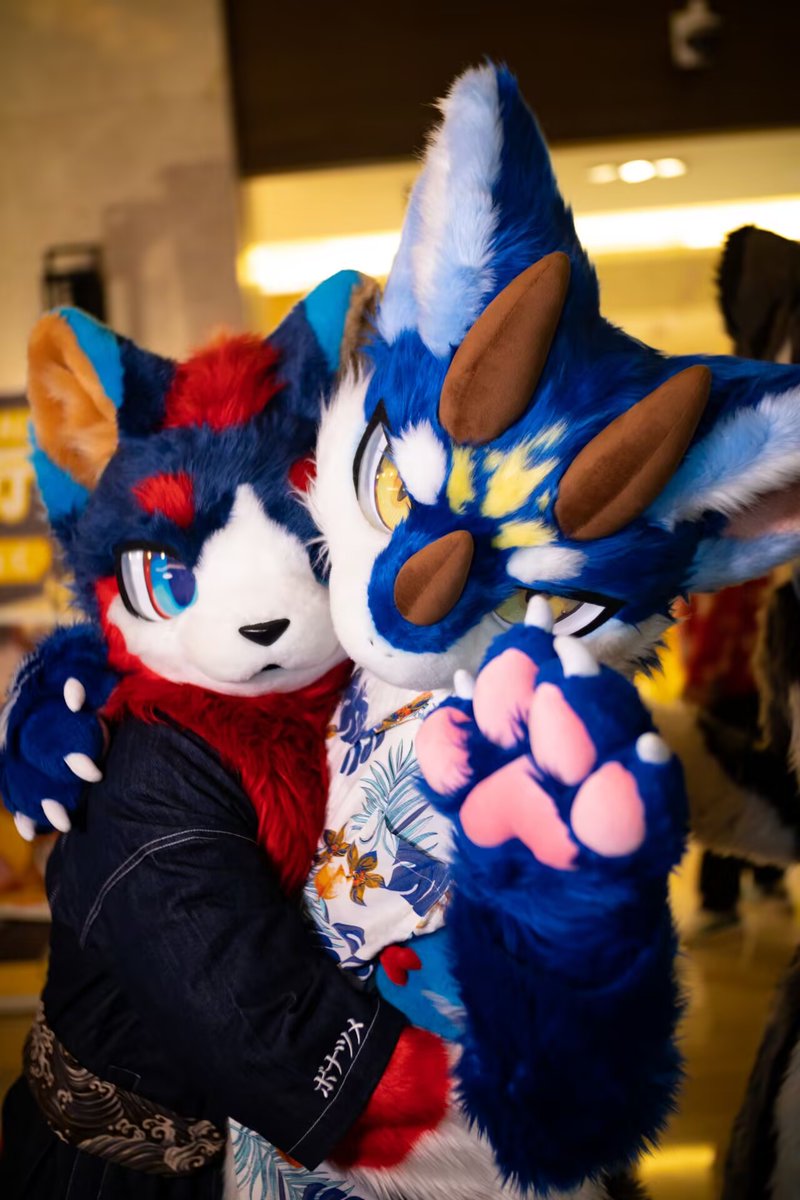 #FursuitFriday
黏人的狗（hong）子（xiong）哥也太可爱了吧！我直接拐走亲晕😋😋😋😋😈😈😈😈🤤🤤🤤🤤🥵🥵🥵🥵🥵
🐶：@织炎
