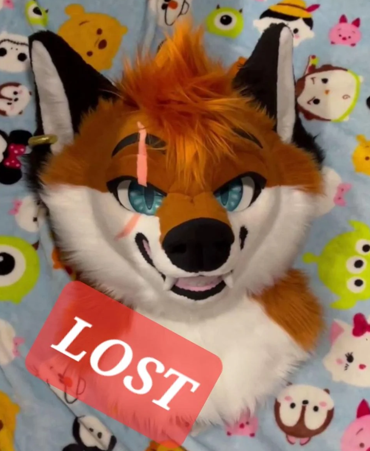 SyraWolf's tweet photo. The Chicago distribution center is STILL having suits go missing-
My suit went missing on JUNE 1ST after leaving customs. If ANYONE has seen her anywhere I'll happily pay a reward of $150 plus shipping. Contact me immediately! Share around I really want her back home safe! https://t.co/CrHhnCWwe7