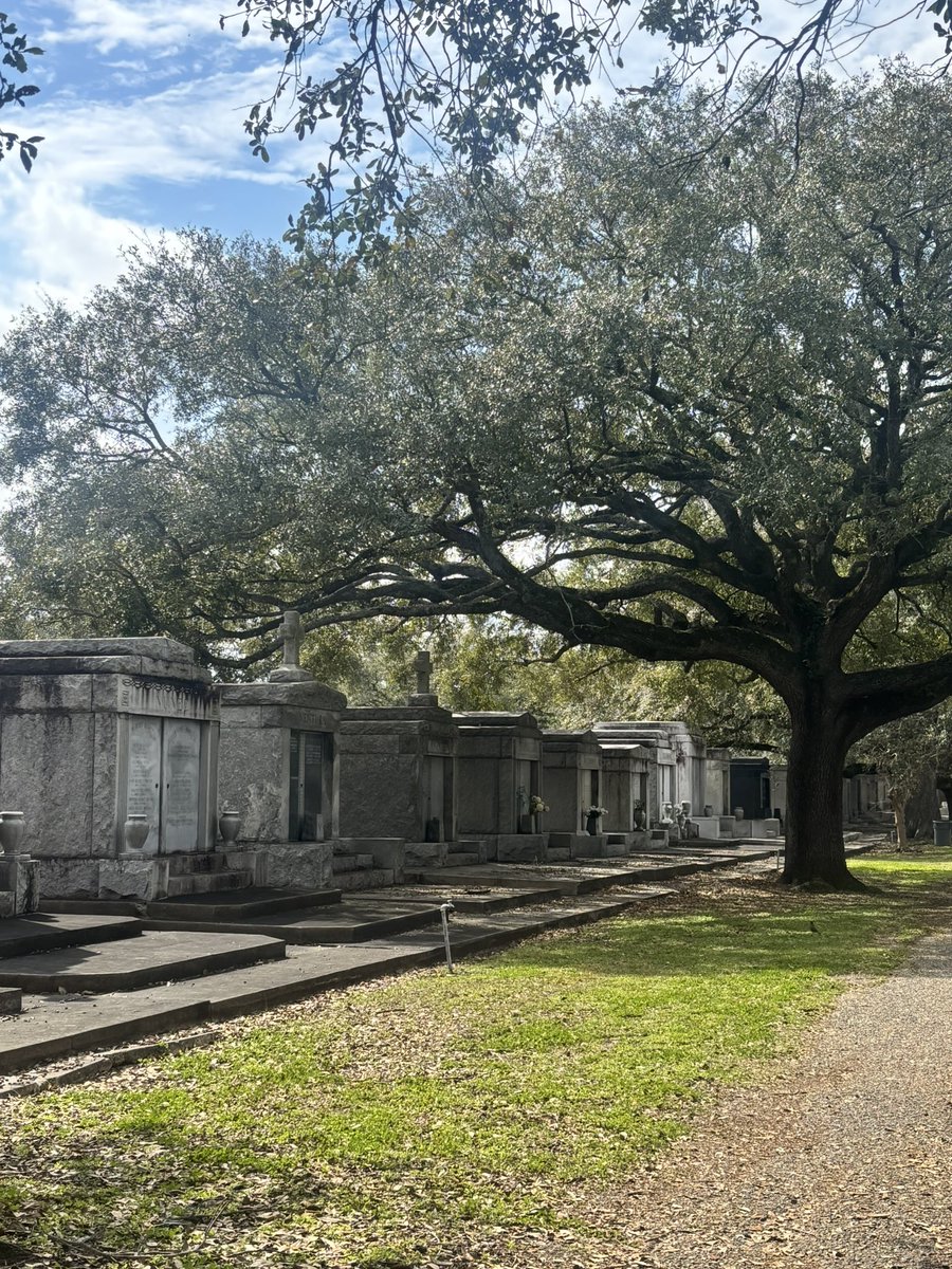 RachFaintSmile's tweet photo. Some cool pics I took on my cemetery tour in New Orleans today https://t.co/LHfjlq2ZNS