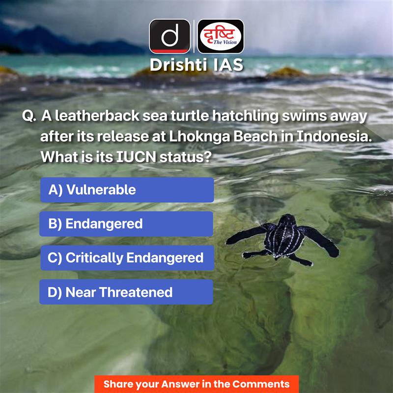 drishtiiaseng's tweet image. Share your answer to the #DrishtiDailyQuiz in the comment section.

#WildlifeConservation #SaveTurtles #IUCN #EndangeredSpecies #Ocean #Biodiversity #Climate #WildlifeProtection #MarineConservation #UPSC #IAS #DrishtiIAS #DrishtiIASEnglish