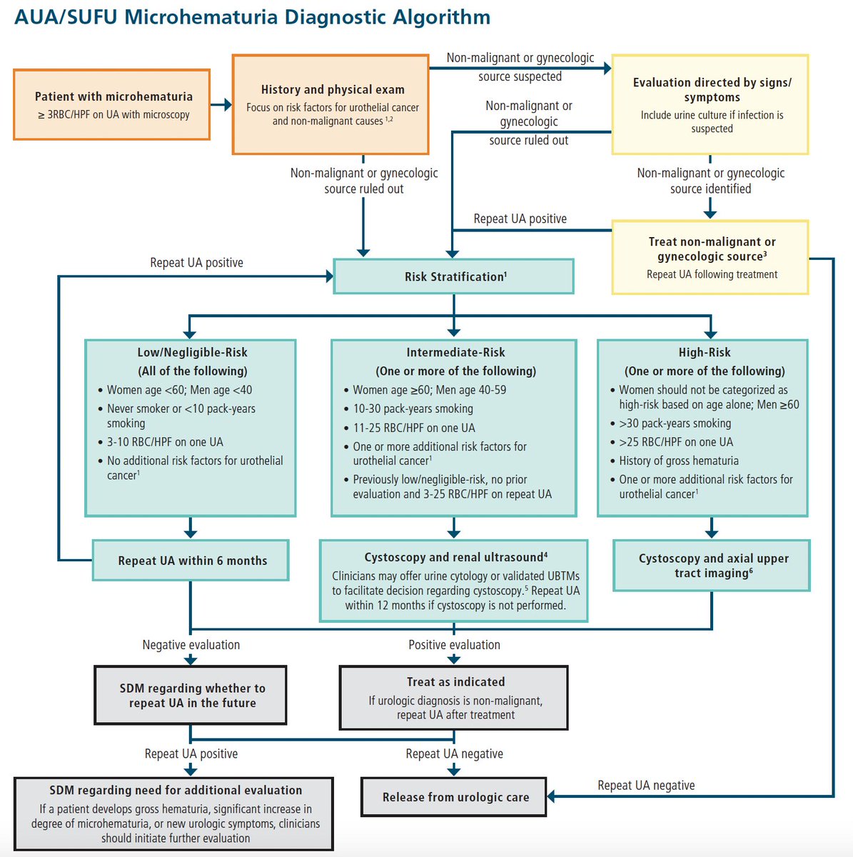 Adam B. Weiner, MD (@adam_weiner535) on Twitter photo 🚨Updated guidelines on #microhematuria🚨
<a href="/AmerUrological/">Amer. Urol. Assn.</a> <a href="/sufuorg/">SUFU</a> <a href="/Uro_Res/">The Urology Applicant ⚕</a>
🔗auanet.org/guidelines-and… 🚨Updated guidelines on #microhematuria🚨
<a href="/AmerUrological/">Amer. Urol. Assn.</a> <a href="/sufuorg/">SUFU</a> <a href="/Uro_Res/">The Urology Applicant ⚕</a>
🔗auanet.org/guidelines-and…