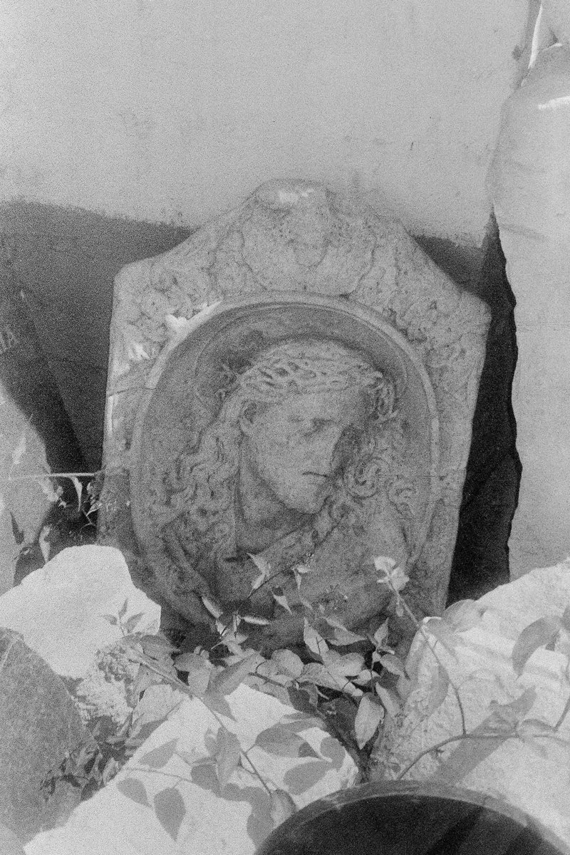 ABBSound's tweet photo. Donskoy Monastery. Necropolis. (Svema KN-5D)
June 23, 2020
Canon Prima Zoom 80u Date
Svema KN-5D (release date: Jan 1991)
___
#filmphotography #blackandwhite #film #svemakn5d #svemafilm #svema #35mm #canonprimazoom80u #bnwphoto #bnwphotography #expiredfilm #believeinfilm #bnw https://t.co/8Ix5dPnOXW
