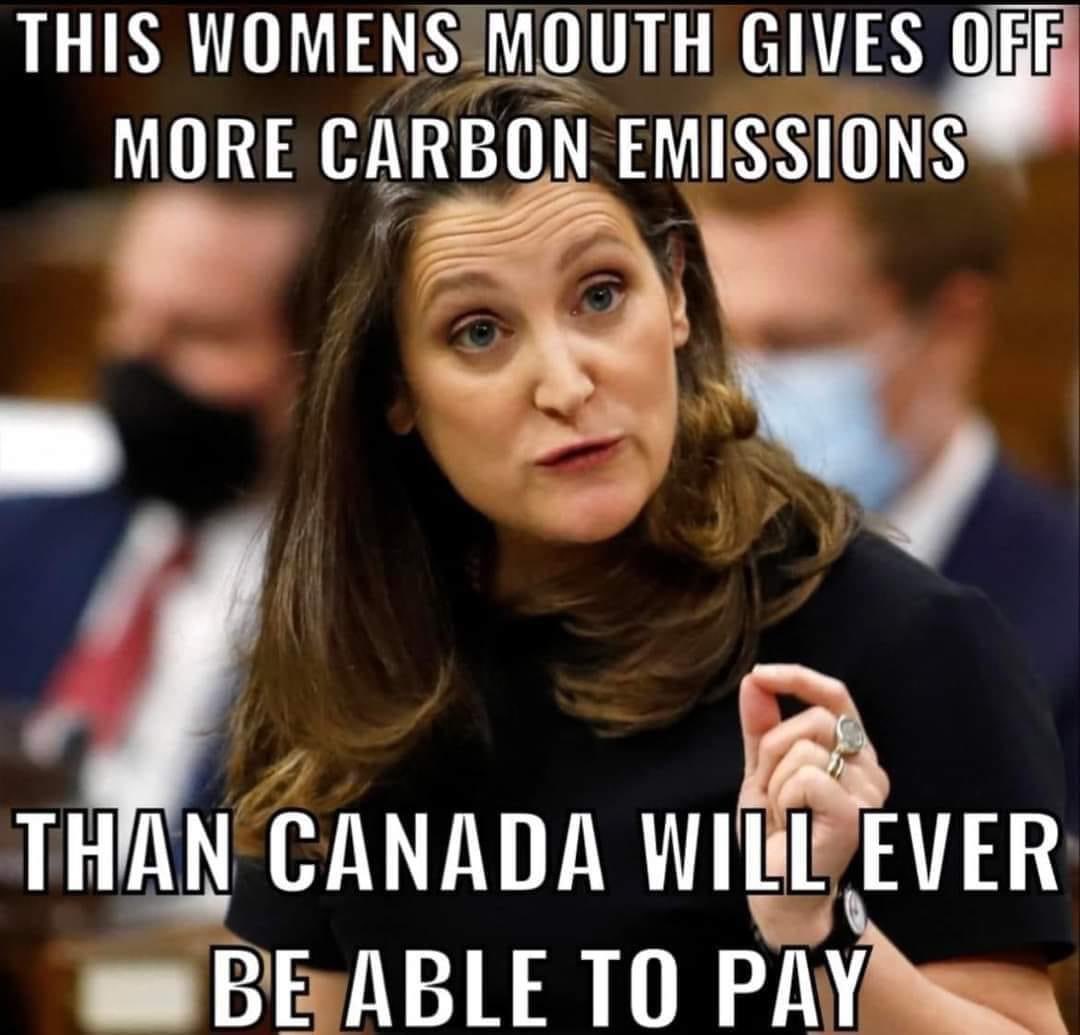 Angela0007ab's tweet photo. @DeniseKitchen6 @slk55again @gemstercasey1 @cafreeland @OntLiberal @BonnieCrombie #toepicker 🤮 
#LiberalismIsAMentalDisease https://t.co/zeYq7Wc3N1