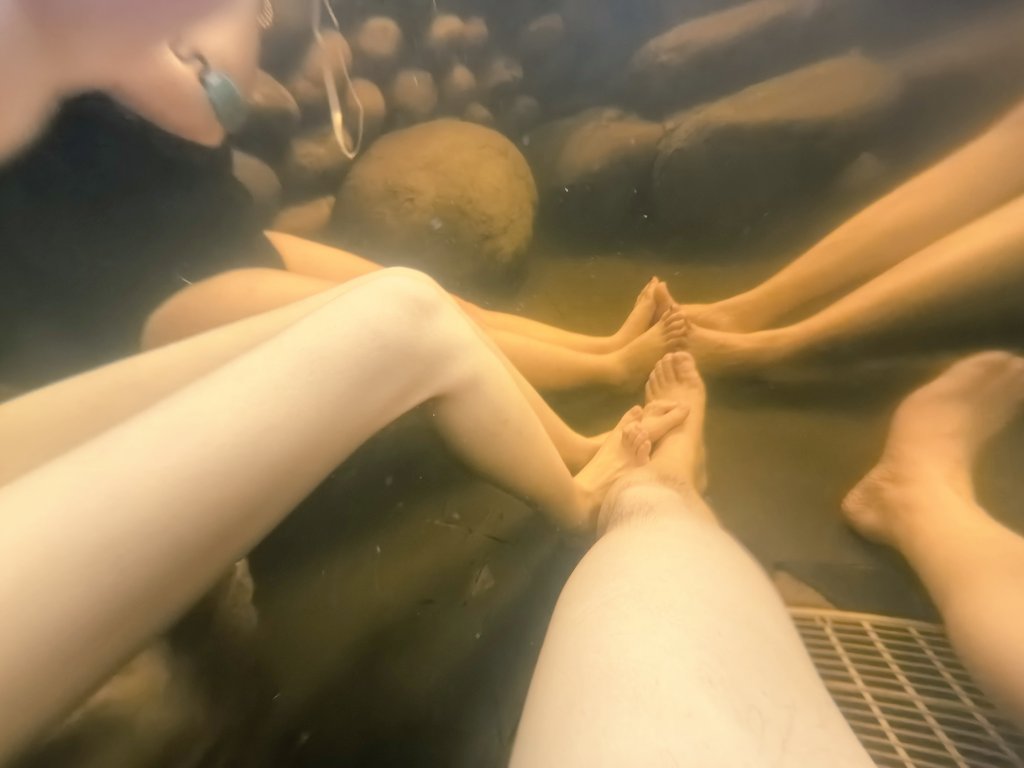 老婆的温泉心愿达成，感谢重庆小夫妻驾车接送，很开朗热情的一对儿，超赞！

#重庆 #温泉