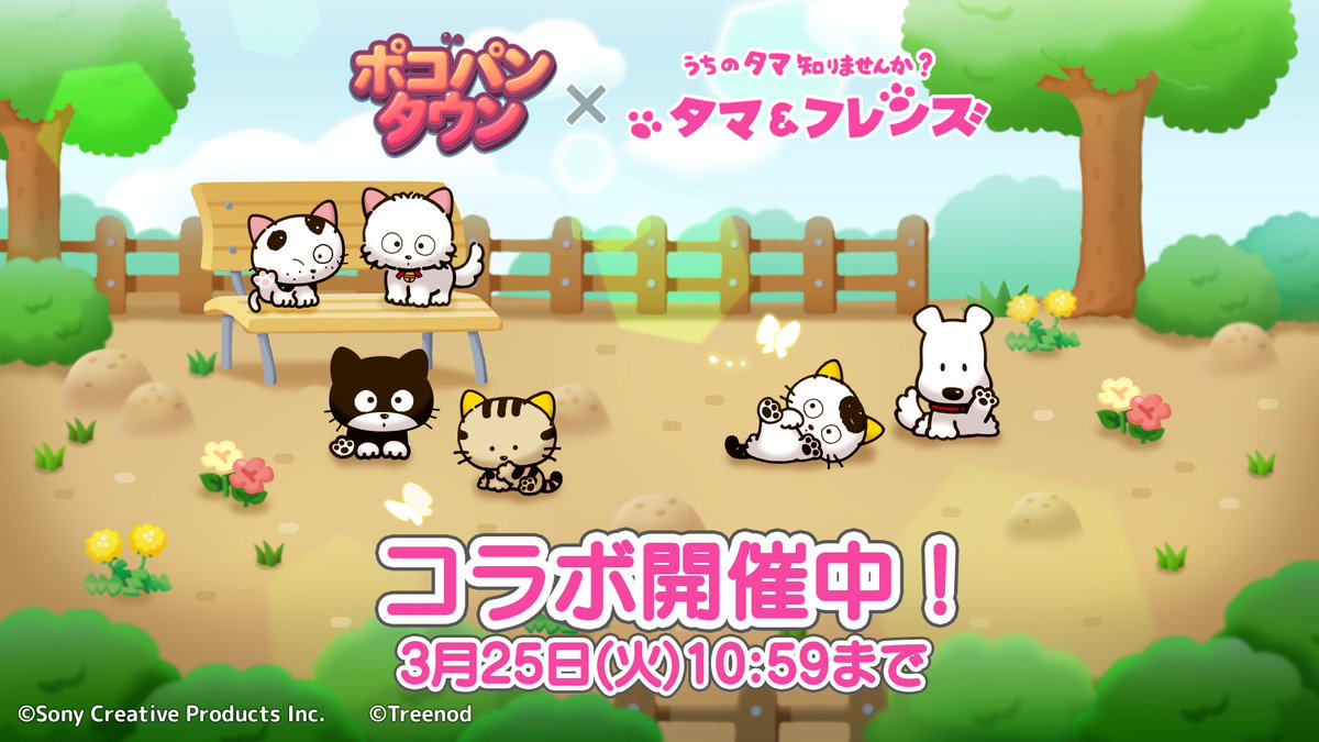 タマ＆フレンズ』🐾 LINEポコパンタウンとコラボ開催！🎉 「タマ