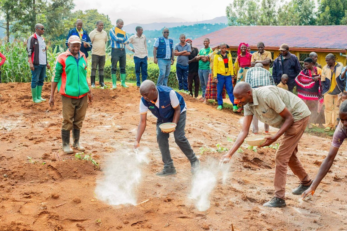 IFDC East and Southern Africa (@ifdcesaf) on Twitter photo 🌱 From Jan 21-22, <a href="/IFDCGlobal/">IFDC</a> & partners led a demonstration trip in #Burundi’s Ngozi & Kayanza provinces to promote proper dolomite use for #SoilHealth!
Farmers learned best practices to correct soil acidity & boost productivity.
More: buff.ly/3XjEFFs
<a href="/NLinBurundi/">Ambassade du Royaume des Pays-Bas au Burundi</a> 🌱 From Jan 21-22, <a href="/IFDCGlobal/">IFDC</a> & partners led a demonstration trip in #Burundi’s Ngozi & Kayanza provinces to promote proper dolomite use for #SoilHealth!
Farmers learned best practices to correct soil acidity & boost productivity.
More: buff.ly/3XjEFFs
<a href="/NLinBurundi/">Ambassade du Royaume des Pays-Bas au Burundi</a>