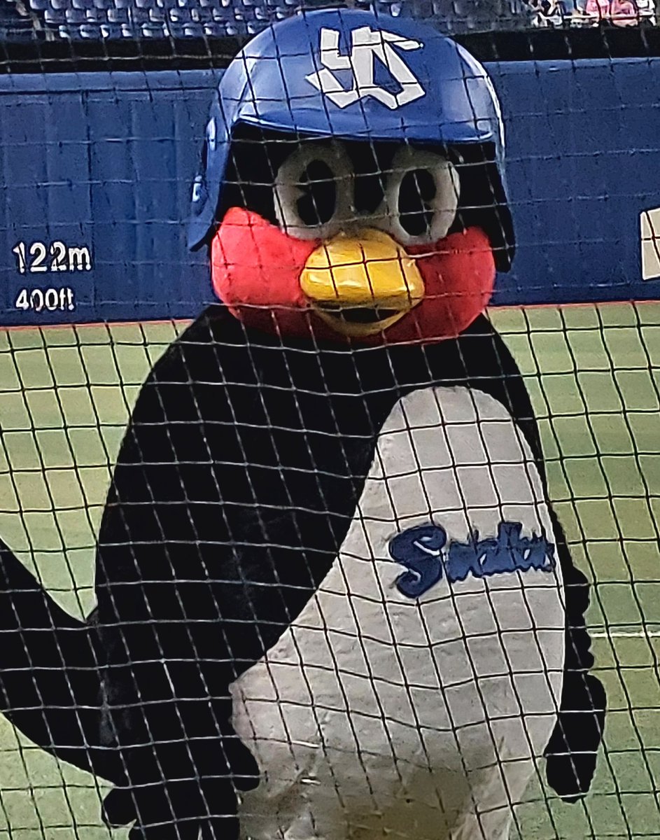 ２８日

つばの日

つば九郎氏にガン見されたい方へ
🐧ジーーーーーーッ
