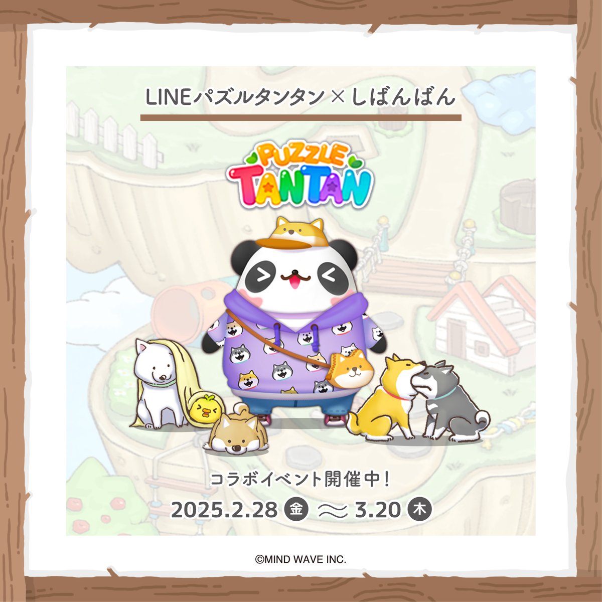 🐾INFO🐾 『しばんばん× LINE パズル タンタン』 コラボのお知らせ〈ฅ
