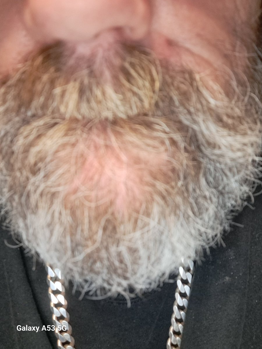 Beard Man🇺🇲 tweet media