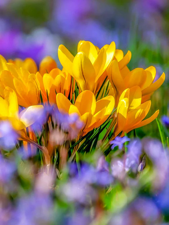 Enabling Leaders (@enab_leaders) on Twitter photo As the first signs of spring start to appear, it’s the perfect time to nurture your #Leadership and watch it grow. Ready for a season of positive #Change? Let’s talk Enabling-Leaders.com.
#Spring #Education #Growth <a href="/AnneMarieDuguid/">Anne-Marie Duguid FCCT</a> As the first signs of spring start to appear, it’s the perfect time to nurture your #Leadership and watch it grow. Ready for a season of positive #Change? Let’s talk Enabling-Leaders.com.
#Spring #Education #Growth <a href="/AnneMarieDuguid/">Anne-Marie Duguid FCCT</a>