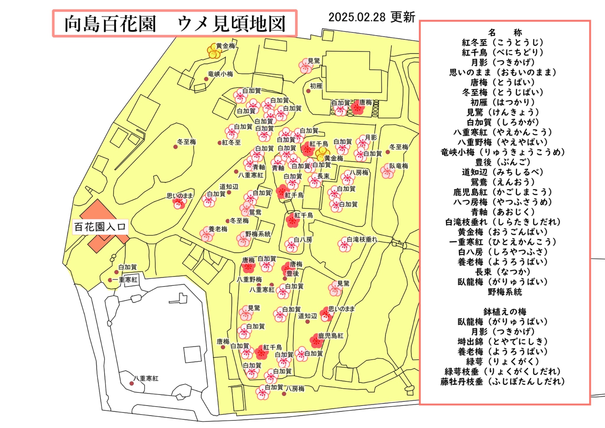 向島百花園 on X: 向島百花園 on X: