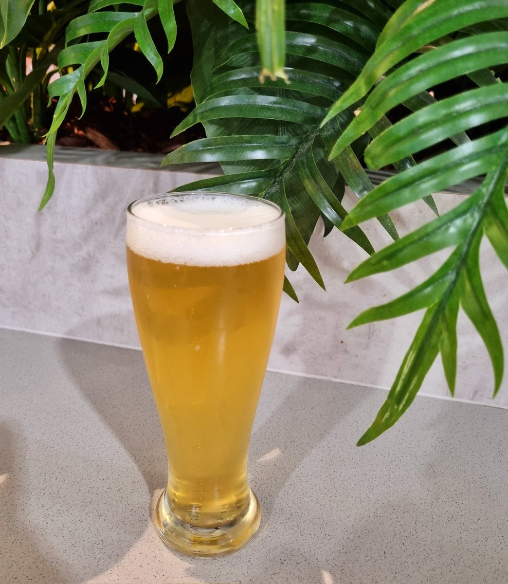 warriorboy67's tweet photo. Been a week. Time to go home. Enjoy your weekends thrillseekers.
Cheers/ ลปivjeli.
#beeroclock #Balter
๐๐ป๐ช https://t.co/aIkOpdlHGn