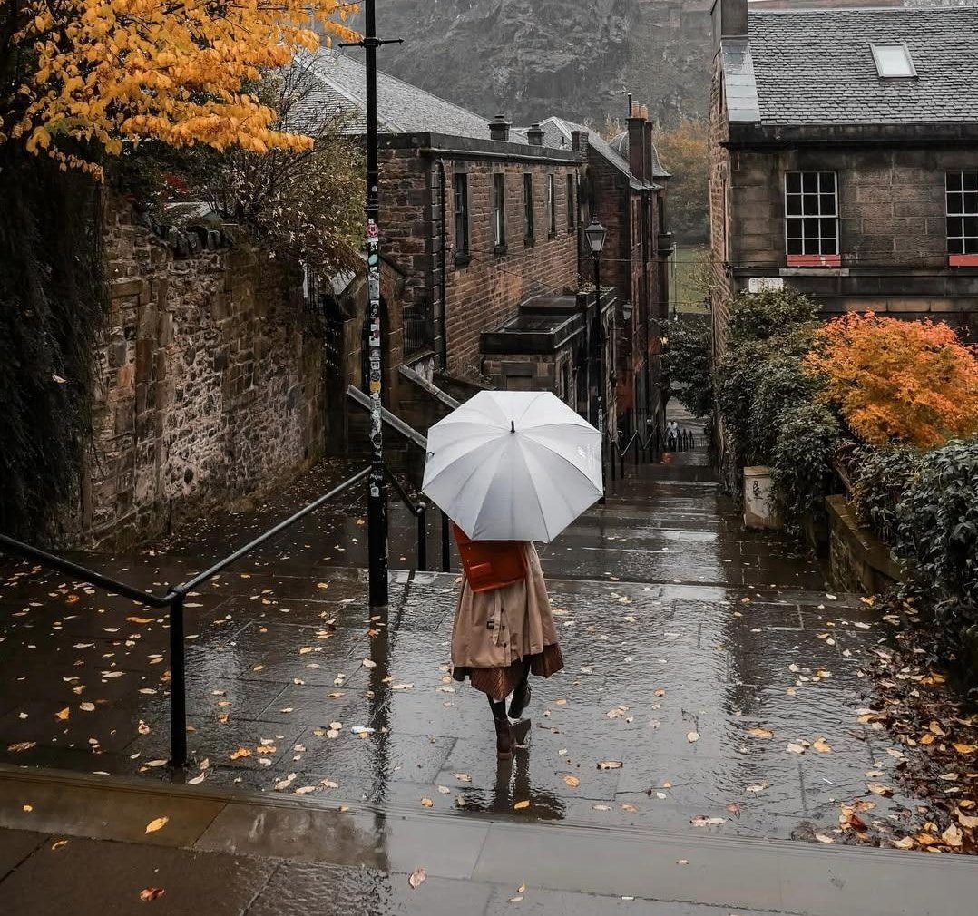 autumn girl tweet media