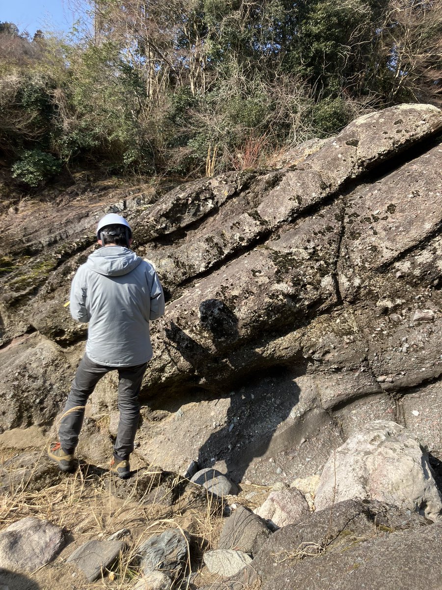 岡山理科大学 生物地球学部 恐竜学科 tweet media