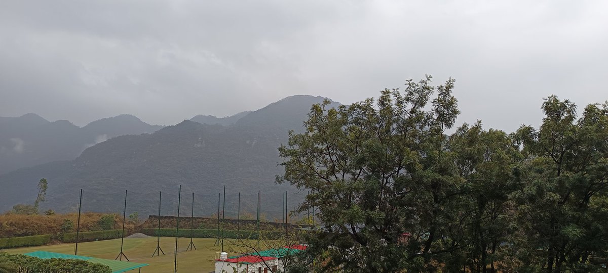 Gm friends have a great day