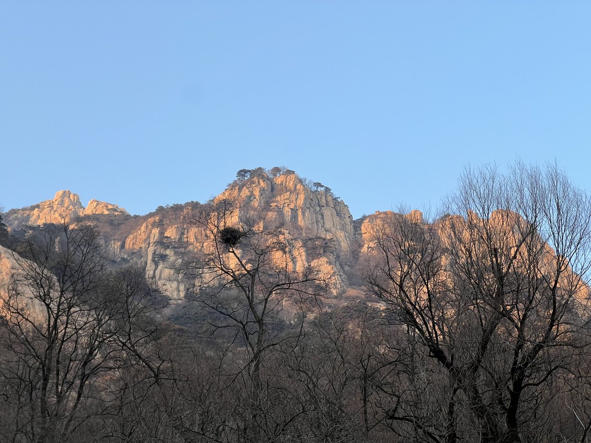 breadchen4's tweet image. China Mountain Tai 
中国黄山